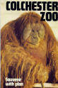 Colchester Zoo Guide 1985 - Orangutan